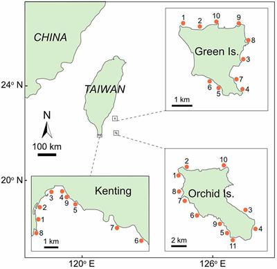 Sea Urchins Play an Increasingly Important Role for Coral Resilience Across Reefs in Taiwan